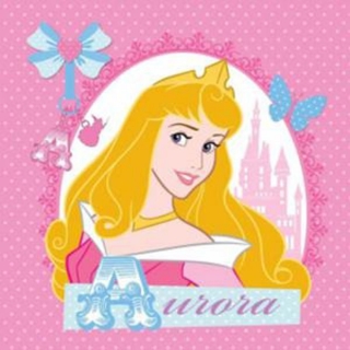 Magický ručníček Princezna Aurora