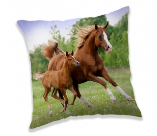 Polštářek Kůň brown